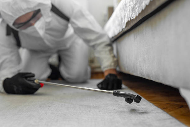 Professional Emergency Pest Control technician working in Encantada-Ranchito-El Calaboz, TX