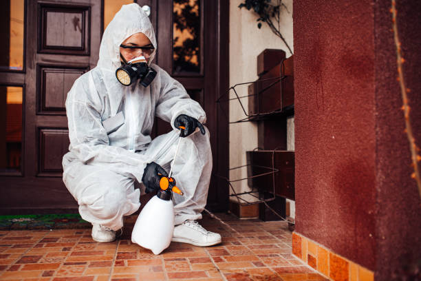 Reliable Emergency Pest Control contractor in Encantada-Ranchito-El Calaboz, TX by Nex Pest Control