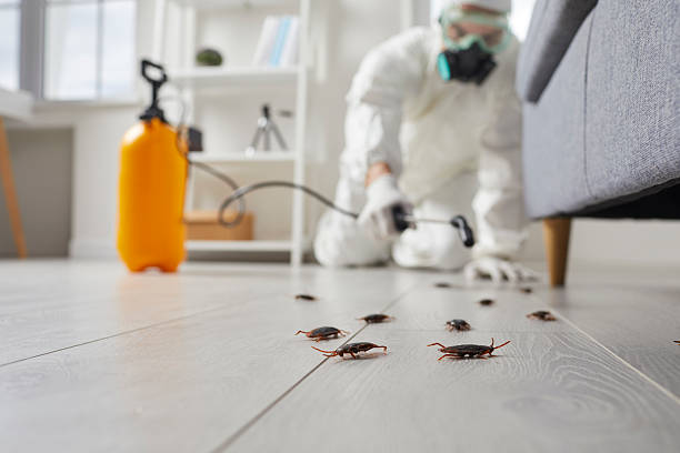 Trusted Fumigation Services service in Encantada-Ranchito-El Calaboz, TX - Nex Pest Control